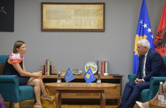 Susret Palatove i Svečlje (foto:X/evapalatova)